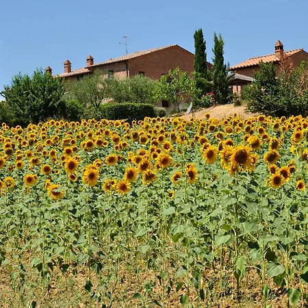 Tenuta Il Casone Фермерский дом Читта-делла-Пьеве