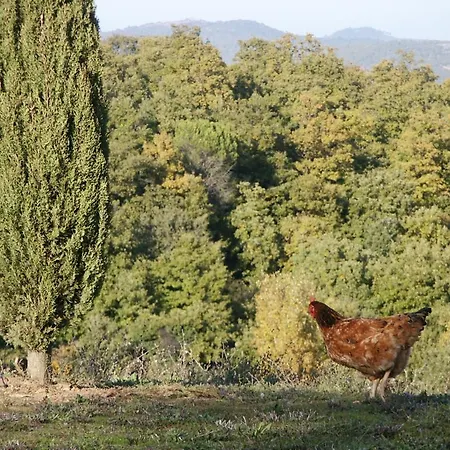 Tenuta Il Casone Фермерский дом *